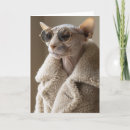 Search for sunglasses invitations Cat