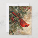 Search for evergreens christmas cards Winter