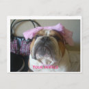 Recherche de bouledogues anglais cartes postales Adorable