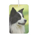 Search for border collie gifts Portrait