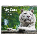 Search for big cat calendars Cheetah