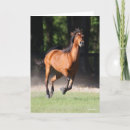 Search for bob cards Breed