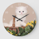 Recherche de chaton persan art Blanc