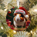 Search for guinea pig ornaments Festive