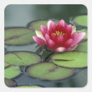 Search for parks and gardens stickers Judy wild