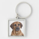 Search for rhodesian ridgeback dog keychains Puppies