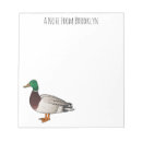 Search for duck notepads Bird