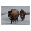 Recherche de yellowstone posters Usa