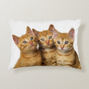 Search for ginger cat pillows Kitten