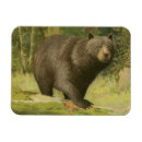 Search for tree trunk magnets Wild life