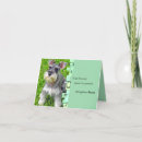Search for schnauzer birthday cards Photography