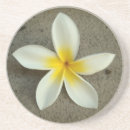 Recherche de plumeria dessous de verres Plumérie