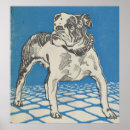 Recherche de american bulldogs posters J'aime les bulldogs