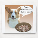 Search for corgi thanksgiving Dog