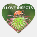 Search for beetle stickers Red