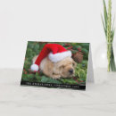 Search for labrador christmas cards Dogs