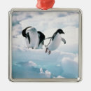 Search for antarctica ornaments Penguin