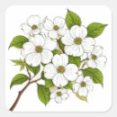 Search for dogwood blossom stickers Leaves