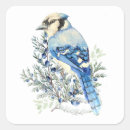 Search for blue jay bird stickers Wildlife