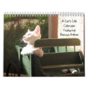 Recherche de charité animale Chat