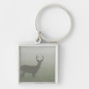 Search for mountain top keychains Standing