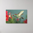 Search for rolf nussbaumer art Flower