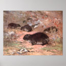 Search for rodent posters Retro