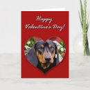 Search for dachshund valentines day cards Puppies