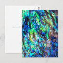 Recherche de abalone cartes postales Coquille