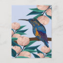 Search for hummingbird postcards Summer