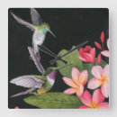 Recherche de oiseaux tropicaux horloges Fleurs