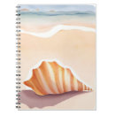 Search for beach shells notebooks Coastal