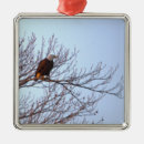Search for bald eagle ornaments Eagles