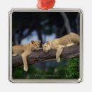 Search for kenya ornaments Wildlife