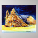 Recherche de yorkshire terrier posters Yorkie