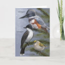 Recherche de three kings cards Oiseau
