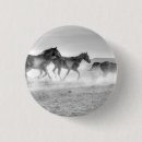 Search for mustangs buttons Animals