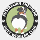 Recherche de le berger australien autocollants Animal