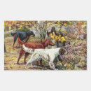 Search for irish setter dog stickers Vintage
