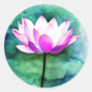 Search for pink lotus flower stickers Botanical