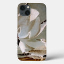 Search for gull cases 1827