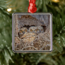 Search for owl family ornaments Bird