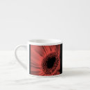 Search for red gerberas mugs Summer
