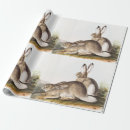 Search for hare wrapping paper Vintage