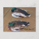 Recherche de myrte cartes postales Quai