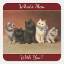 Search for mew Vintage