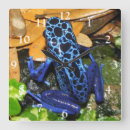 Search for frog lover art Animal