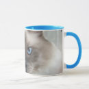 Search for ragdoll mugs Kitty