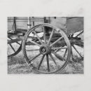 Recherche de westies cartes postales Blanc