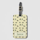 Search for tiny birds Pattern